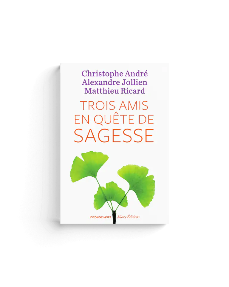Trois amis en quête de sagesse