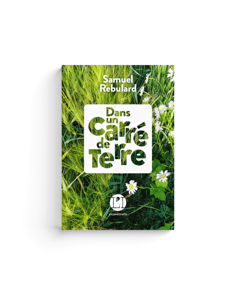 Dans un carré de terre