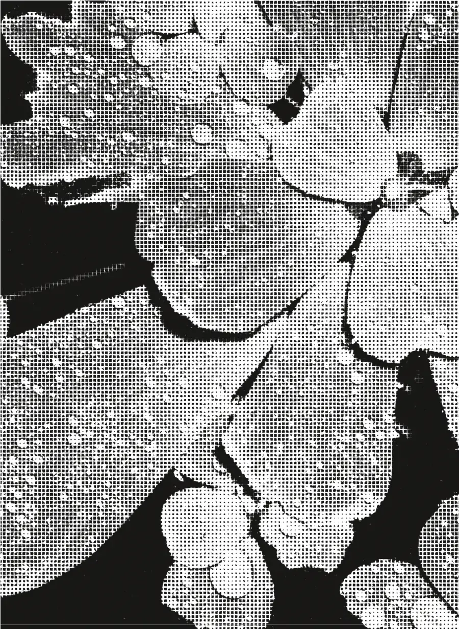 Womanizer Baptiste Pizzinat