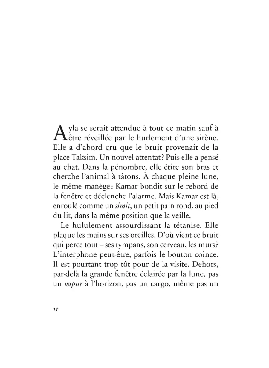 L'alphabet du silence Delphine Minoui